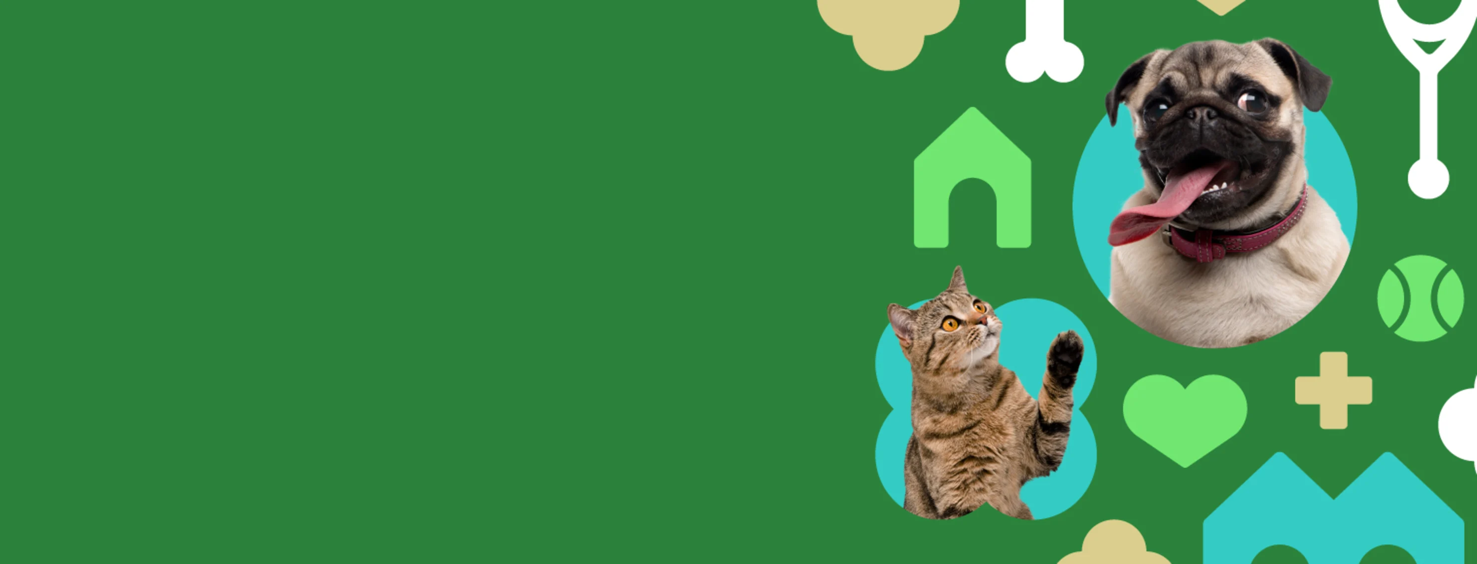 Happy dog and cat with green background and pet vet icons